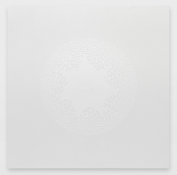 Céleste Boursier-Mougenot solidvideo mandalavirus 12, 2017 110 x 110 x 4 cm ©Annik Wetter Courtesy de l’artiste et de la Galerie Xippas / Courtesy of the artist and Xippas Paris